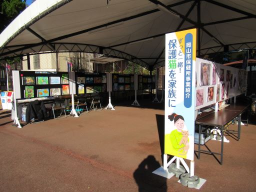 動物愛護パネル展の様子