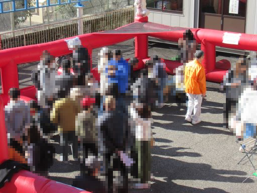 譲渡会・ふれあい会の風景