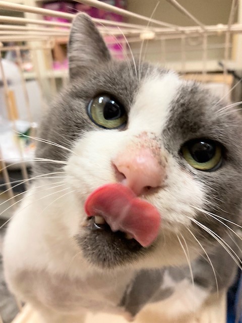 1N2025078（トミーくん）3