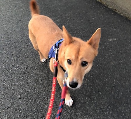 1D2024154（キキちゃん)