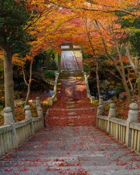 takata35さんの作品