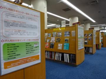 展示の様子3