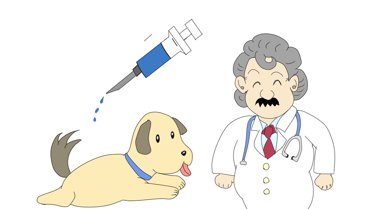 獣医の診察風景