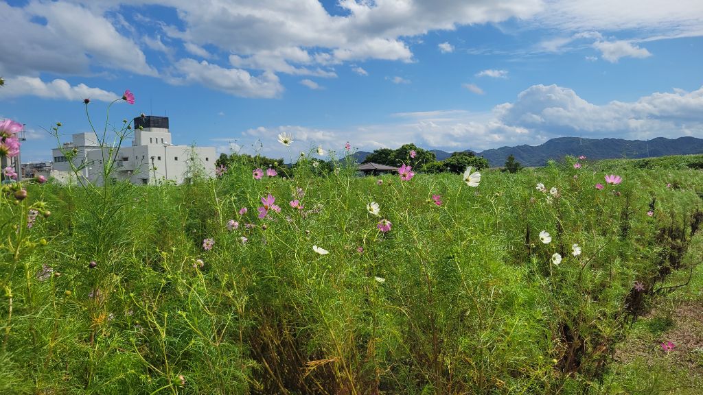 9月30日 現在の状況