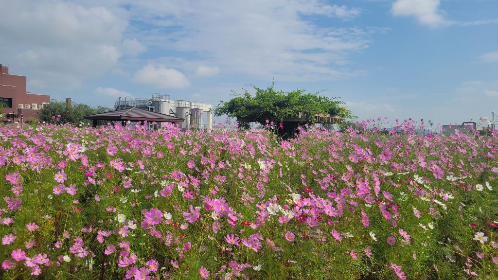 10月8日写真その2