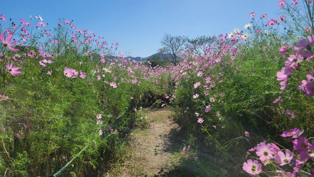 10月10日写真その2