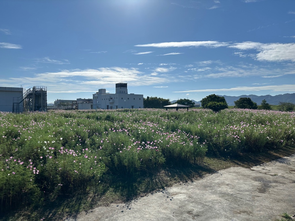 10月6日写真その2