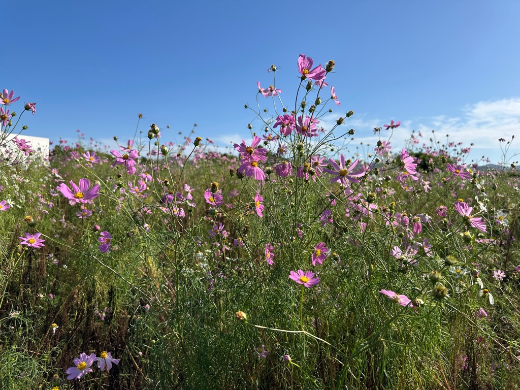 10月17日写真その2