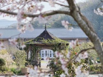 熊山英国庭園の桜の写真