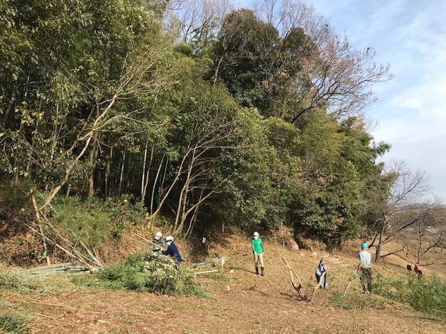 竹林伐採の様子