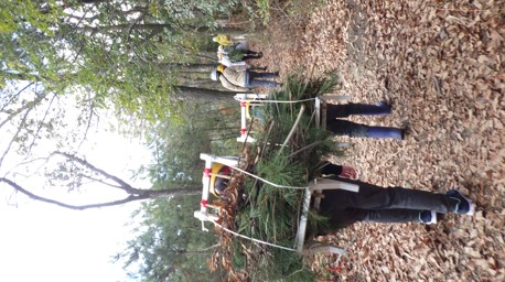 小枝や雑木を背負っている様子