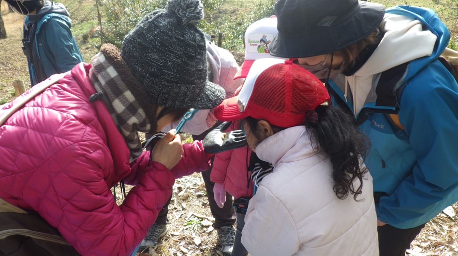 こども達と昆虫を見ている様子
