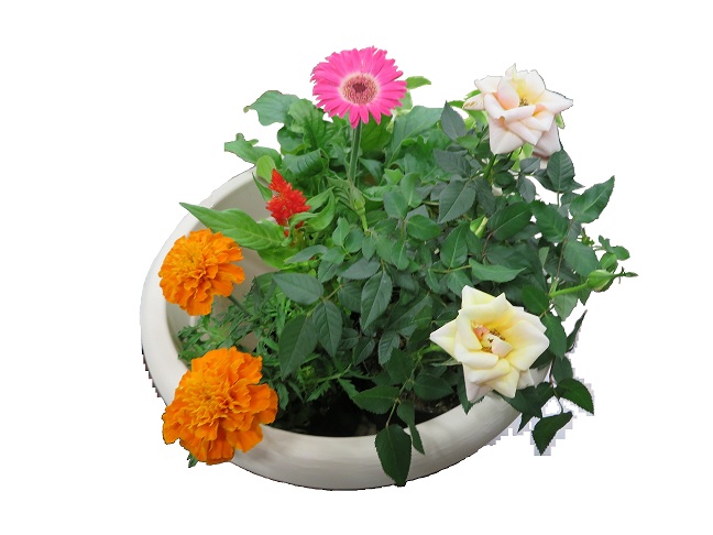 ガーデニング教室