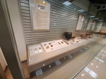 旧石器・縄文時代の展示